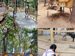 -沂蒙山旅游区云蒙景区(蒙山国家森林公园)