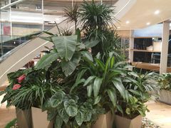 -中大国际(南大街店)