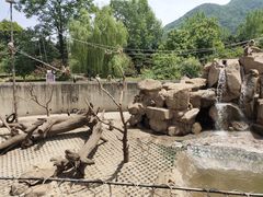 -西安秦岭野生动物园