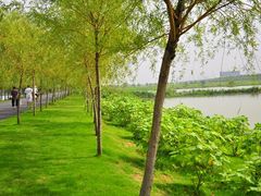 -艾溪湖湿地公园