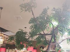 -老阿爸鲜鱼土菜(独墅湖店)