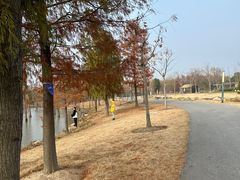 -上海长兴岛郊野公园