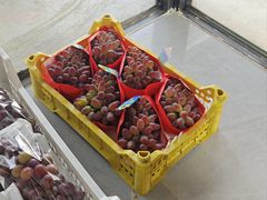 -马陆小张葡萄园农家乐