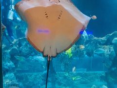 -杭州海底世界