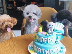 -Oh My Dog宠物沙龙(伊珊娜皮毛护理店)