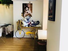 -Husky Go! 哈士奇体验馆·宠物咖啡厅狗咖