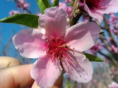 -昆山城市生态森林公园