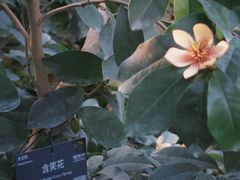 -国家植物园南园