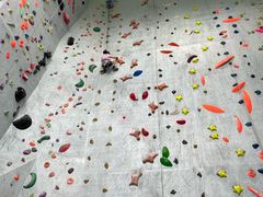 -尽峰攀岩 Acme Climbing