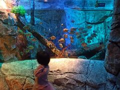 -沈阳海洋探索中心