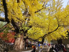 -晋祠公园
