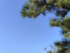 -太和山风景区