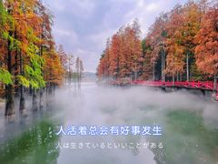-九真山风景区