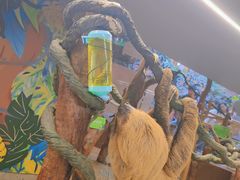 -正佳雨林生态植物园