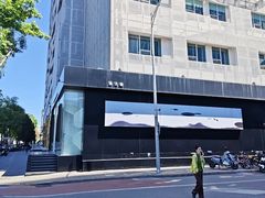 -BLACKSWAN黑天鹅(环球店)