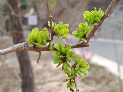 -白水寺森林公园