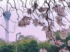 -红星桥(地铁站)