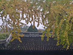 -惠山古镇·寄畅园