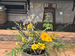 -北马山庄植趣咖啡