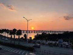 -宝安西湾红树林湿地公园