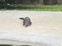 -秦皇岛野生动物园