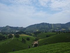 -帐篷客·溪龙茶谷度假酒店