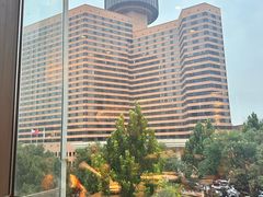 -羲和雅苑•北京烤鸭(平安国际金融中心店)