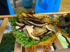 -菌海森林·非遗野生菌火锅(西山区滇池路摩根道店)