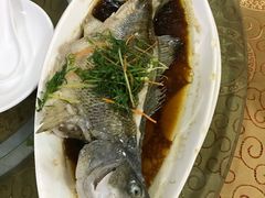 -瑞记湛江鸡饭店·粤西第一鸡(粤垦店)