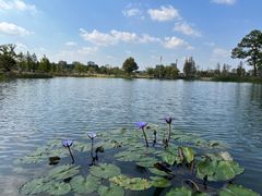 -上海植物园-4号门售票处