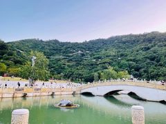 -阳台山森林公园