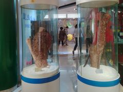 -上海昆虫博物馆