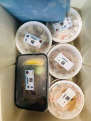 -广禾堂月子餐(国妇婴店)