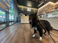 -81BAKERY(大学路店)