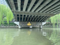 -运河游船(武林门码头)