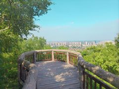 -南京市江宁方山