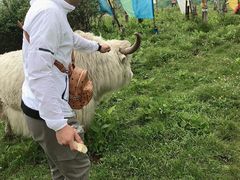 -硗碛藏寨·神木垒景区