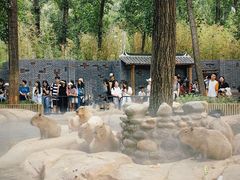 -北京野生动物园