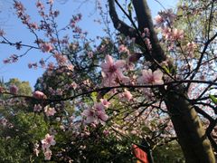 -杭州少年儿童公园
