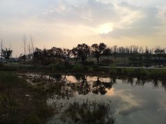 -白鹭湾湿地公园