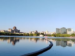 -莲花池公园