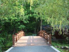 -东平国家森林公园