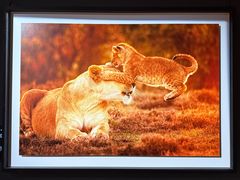 -罗红摄影艺术馆