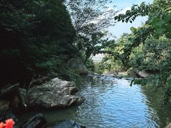 -连云港云龙涧原生态风景区