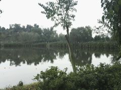 -白鹭湾湿地公园