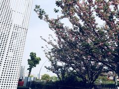 -柒厢食事雅谈