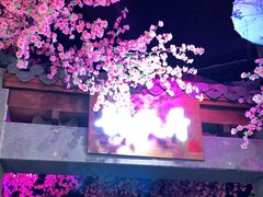 -韵秋荷(宝山龙湖天街店)