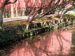 -丝绸小镇荻港古村