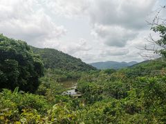 -呀诺达热带雨林