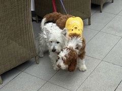 -京北渔家傲